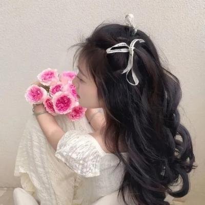 中国人的流浪记